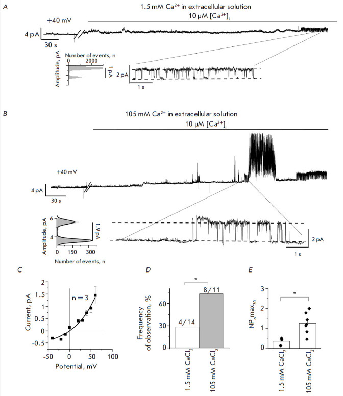 The Effect of Calcium Ions on the Electrophysiological Properties of Single ANO6 Channels.