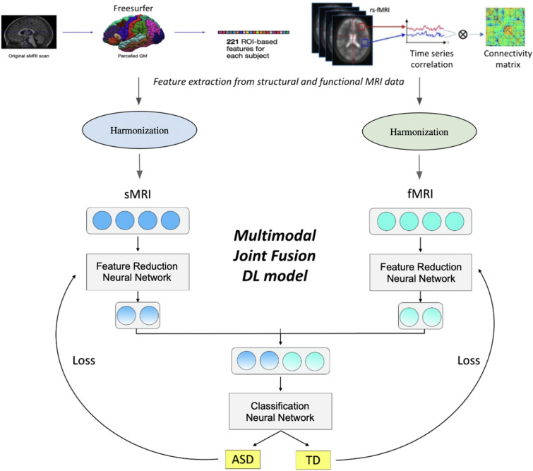 Deep learning based joint fusion approach to exploit anatomical and functional brain information in autism spectrum disorders.
