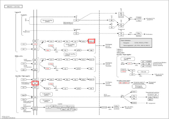 In-silico prediction of anti-breast cancer activity of ginger (Zingiber officinale) using machine learning techniques.