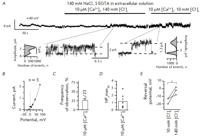 The Effect of Calcium Ions on the Electrophysiological Properties of Single ANO6 Channels.