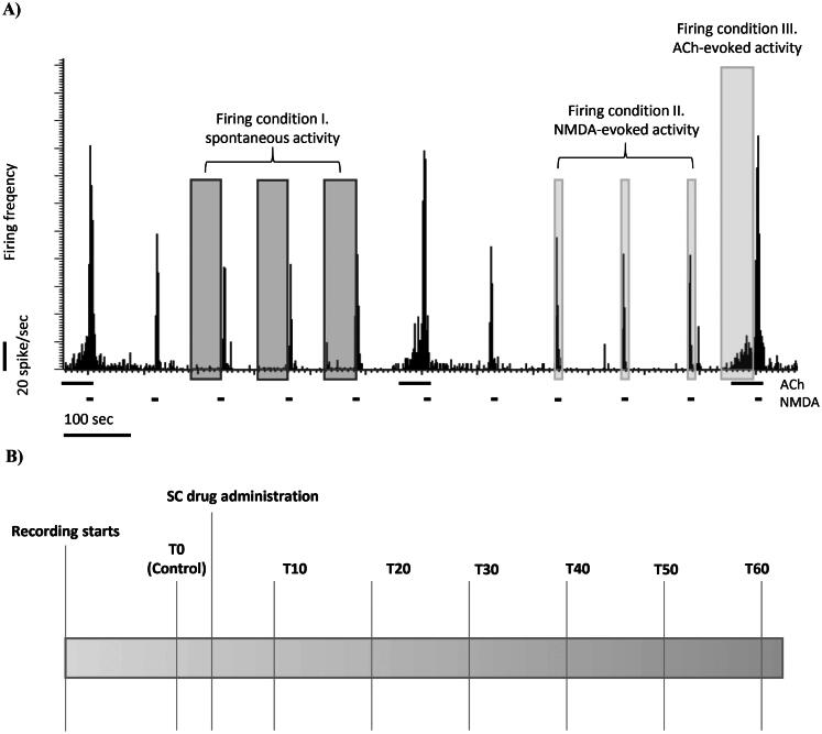Cellular Mechanisms of Cognitive Enhancement: The <i>In Vivo</i> Modulation of the Firing Activity and the Responsiveness of Rat Hippocampal Neurons by Memantine and Alpha7 Nicotinic Acetylcholine Receptor Ligands.