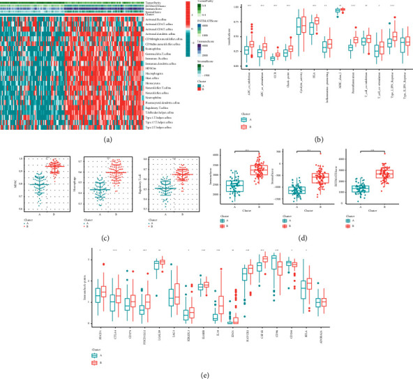 Integrated Analysis of Single-Cell RNA-Seq and Bulk RNA-Seq Unravels the Molecular Feature of Tumor-Associated Macrophage of Acute Myeloid Leukemia.
