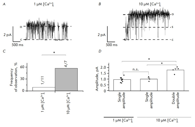 The Effect of Calcium Ions on the Electrophysiological Properties of Single ANO6 Channels.