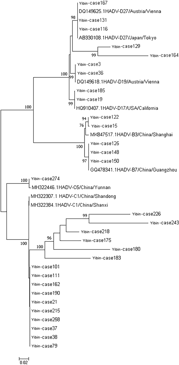 Respiratory virus infections and adenovirus characteristics during acute exacerbation of chronic obstructive pulmonary disease.