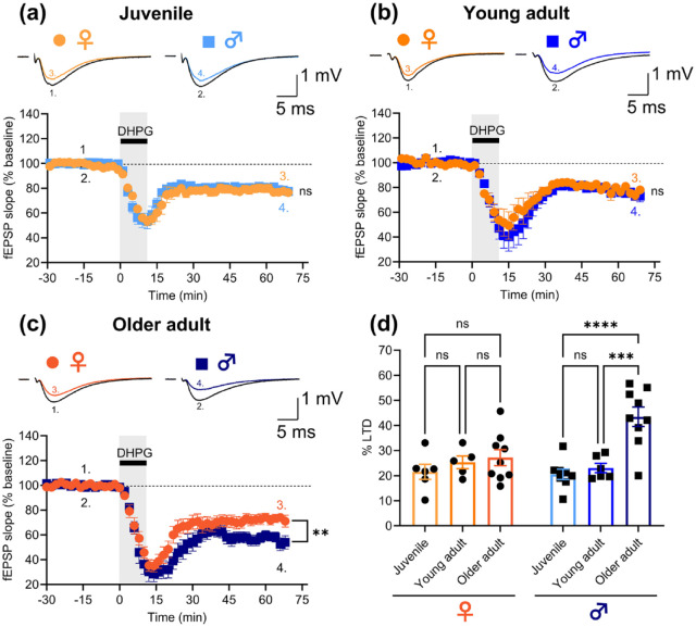 Sex-dependence of synaptic depression induced by activation of metabotropic glutamate receptors in rat hippocampus.