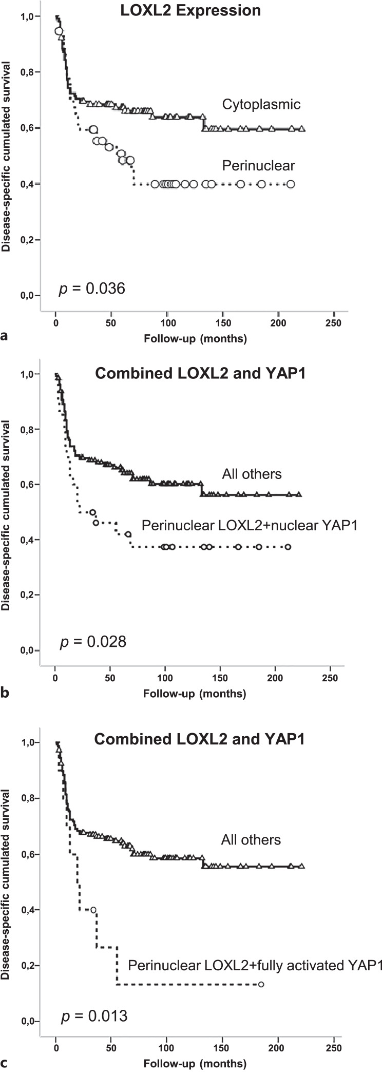 Tumor-Intrinsic Perinuclear LOXL2: Prognostic Relevance and Relationship with YAP1 Activation Status in Oral Squamous Cell Carcinoma.