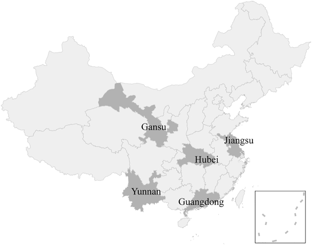摘要图片