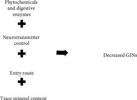 A Review of Ethnomedicinal Plants as Potential Anthelmintic Agents to Alternatively Control Gastrointestinal Nematodes of Ruminants in South Africa.
