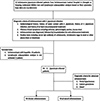 Proliferation of MDSCs may indicate a lower <sup>CD4+</sup> T cell immune response in schistosomiasis japonica.