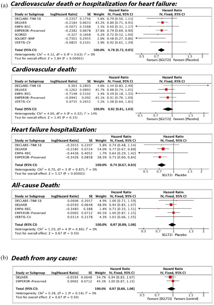 Empagliflozin and other SGLT2 inhibitors in patients with heart failure and preserved ejection fraction: a systematic review and meta-analysis.