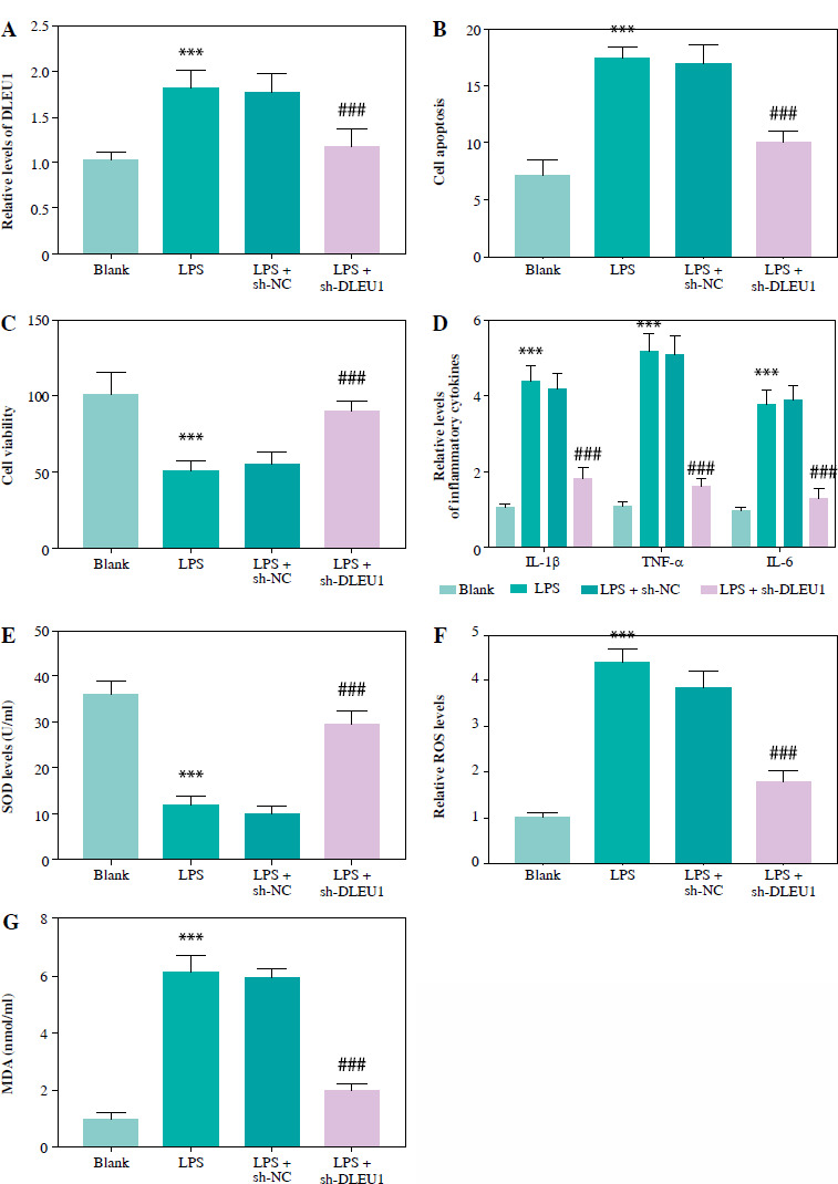 LncRNA DLEU1 contributes to the progression of septic myocardial dysfunction by targeting miR-381-3p.