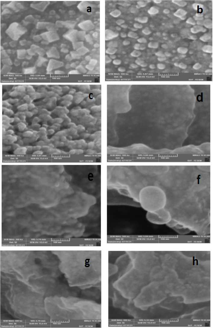 Green and environmentally friendly synthesis of silver nanoparticles with antibacterial properties from some medicinal plants.