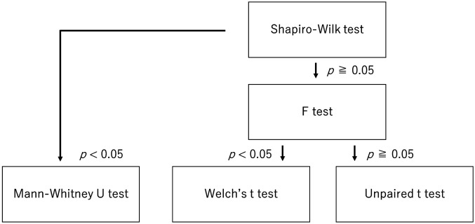 Effect of applying <i>Lactiplantibacillus plantarum</i> subsp. <i>plantarum</i> N793 to the scalps of men and women with thinning hair: a randomized, double-blind, placebo-controlled, parallel-group study.