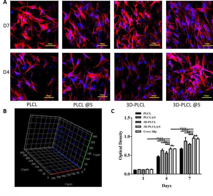 Simvastatin-loaded 3D aerogel scaffolds promote bone regeneration.