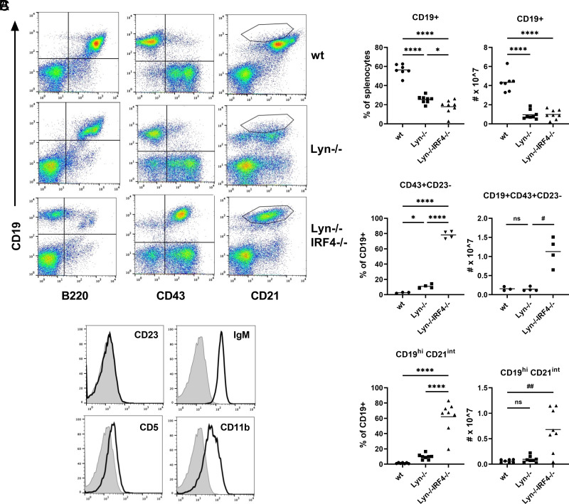 B-1a Cells, but Not Marginal Zone B Cells, Are Implicated in the Accumulation of Autoreactive Plasma Cells in Lyn-/- Mice.