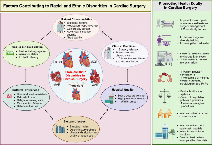 Racial and Ethnic Disparities in Peri-and Post-operative Cardiac Surgery.