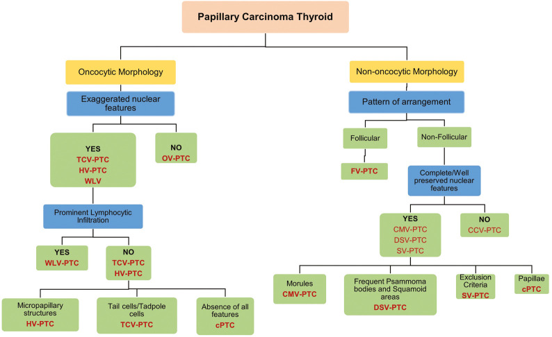 An Algorithmic Approach to Defining Variants of Papillary Thyroid Carcinoma: Accuracy of Fine Needle Aspiration Cytology.