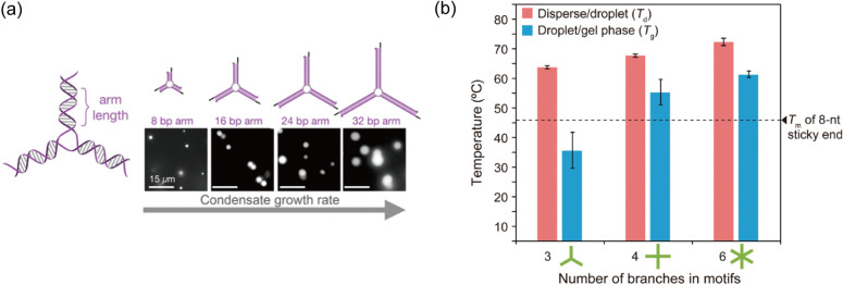 摘要图片