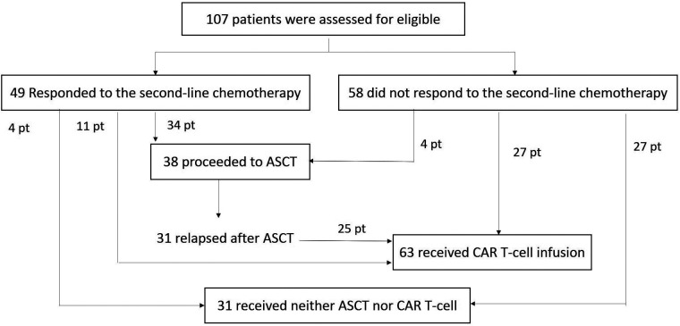 Early failure is still a poor prognostic factor in patients with relapsed or refractory large B-cell lymphoma in the era of CAR T-cell therapy.