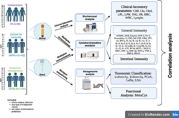 The Trajectory of Successful Aging: Insights from Metagenome and Cytokine Profiling.