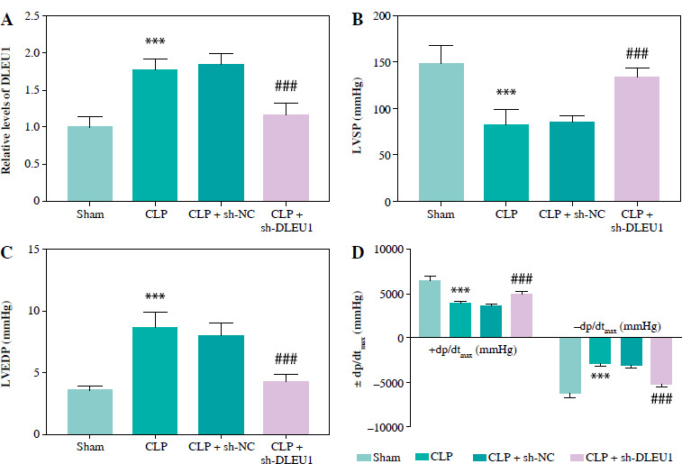 LncRNA DLEU1 contributes to the progression of septic myocardial dysfunction by targeting miR-381-3p.