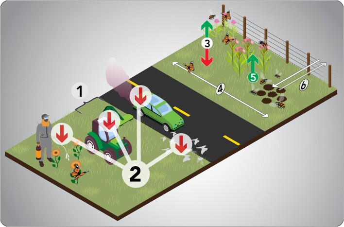 Roadside habitat: Boon or bane for pollinating insects?