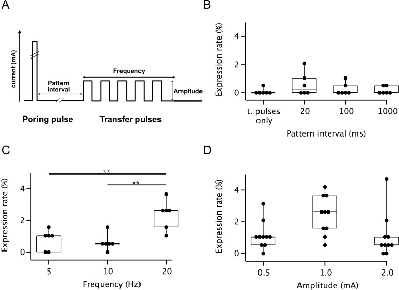 The odor of a nontoxic tetrodotoxin analog, 5,6,11-trideoxytetrodotoxin, is detected by specific olfactory sensory neurons of the green spotted puffers.