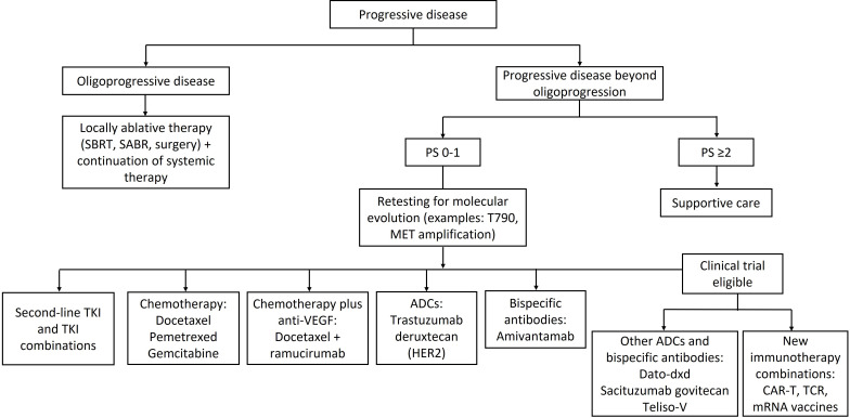Addressing the unmet need in NSCLC progression with advances in second-line therapeutics.