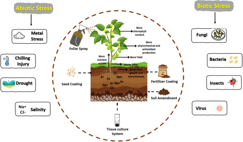 Carrageenans as biostimulants and bio-elicitors: plant growth and defense responses.