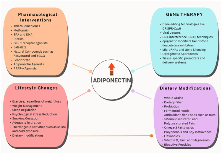 Therapeutic potential of adiponectin in prediabetes: strategies, challenges, and future directions.
