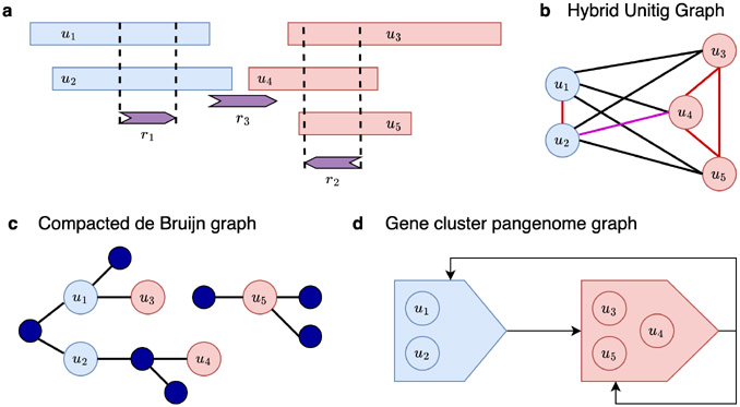 KombOver: Efficient k-core and K-truss based characterization of perturbations within the human gut microbiome.