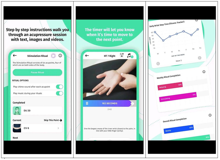 Feasibility and Usability of EnergyPoints: A Mobile Health App to Guide Acupressure Use for Cancer Symptom Management.