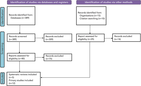 Burden of disease of respiratory syncytial virus in infants, young children and pregnant women and people.