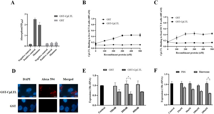 A single-pass type I membrane protein, mannose-specific L-type lectin, potentially involved in the adhesion and invasion of Cryptosporidium parvum.