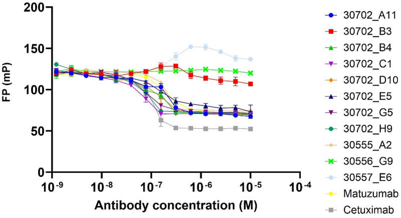 Discovery of potent allosteric antibodies inhibiting EGFR.