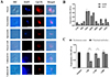 A single-pass type I membrane protein, mannose-specific L-type lectin, potentially involved in the adhesion and invasion of Cryptosporidium parvum.