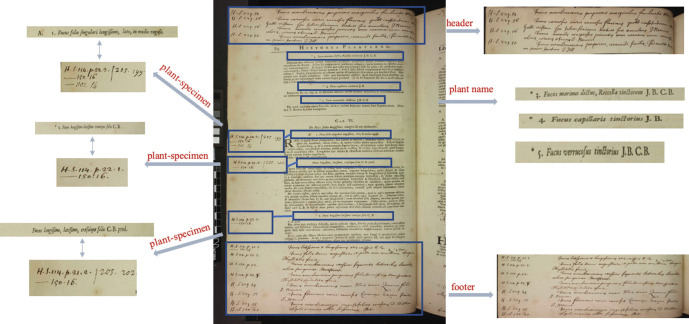 Leveraging OCR and HTR cloud services towards data mobilisation of historical plant names.