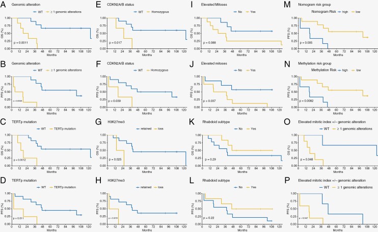 Molecular prognostication in grade 3 meningiomas and p16/MTAP immunohistochemistry for predicting <i>CDKN2A/B</i> status.