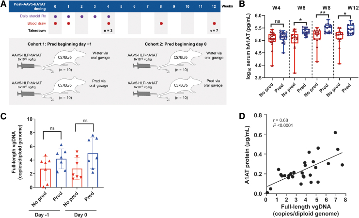 Prophylactic Prednisolone Promotes AAV5 Hepatocyte Transduction Through the Novel Mechanism of AAV5 Coreceptor Platelet-Derived Growth Factor Receptor Alpha Upregulation and Innate Immune Suppression.