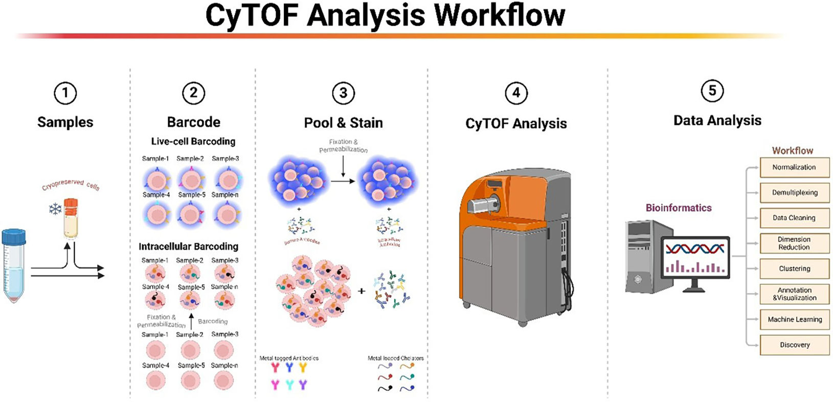 Sample multiplexing in CyTOF: Path to optimize single-cell proteomic profiling.