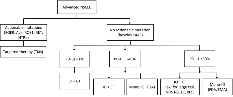 Addressing the unmet need in NSCLC progression with advances in second-line therapeutics.