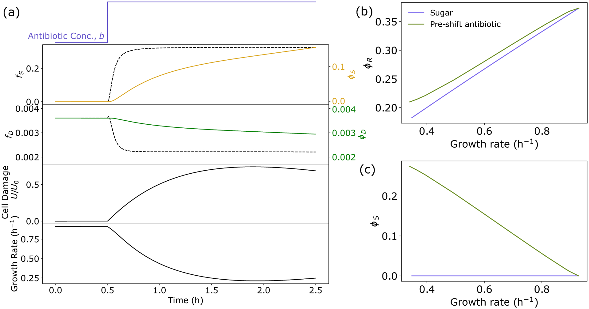 Gene Expression Tradeoffs Determine Bacterial Survival and Adaptation to Antibiotic Stress.