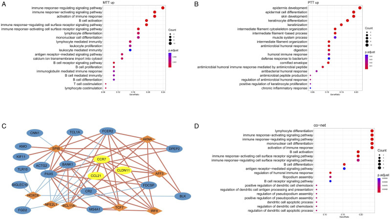 CCL21 and CLDN11 Are Key Driving Factors of Lymph Node Metastasis in Gastric Cancer.