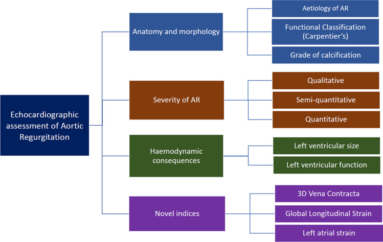 Echocardiographic assessment of aortic regurgitation: a narrative review.
