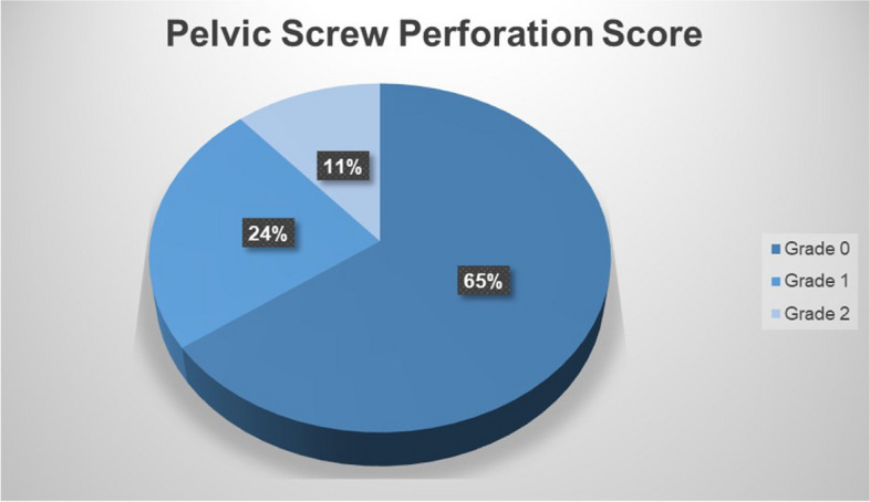 Augmented reality-based surgical navigation of pelvic screw placement: an ex-vivo experimental feasibility study.
