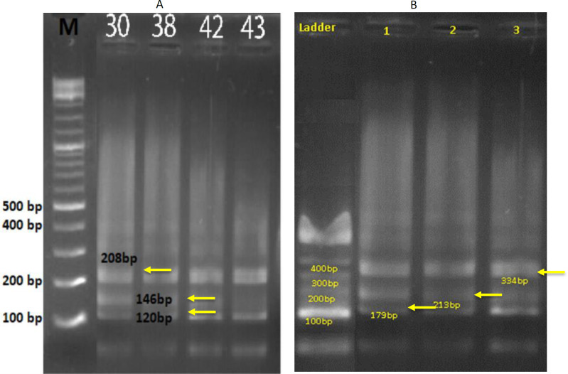 Plasma TNF-α Elevation in Biologic Naive Rheumatoid Arthritis Patients Belonging to a Population with New Mutations in TLR4 and CYP51A1 genes without Association with Disease-Related Antibodies Levels.