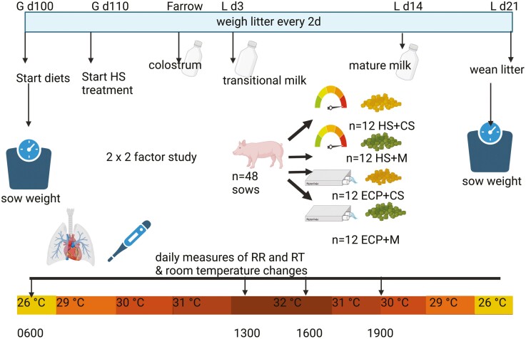 The effect of electronic cooling pads and Moringa oleifera supplementation from late gestation to weaning on sow production performance under heat stress conditions.