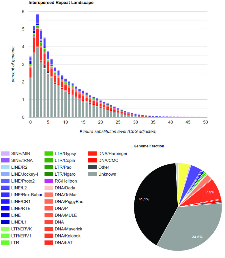 Near chromosome-level and highly repetitive genome assembly of the snake pipefish <i>Entelurus aequoreus</i> (Syngnathiformes: Syngnathidae).