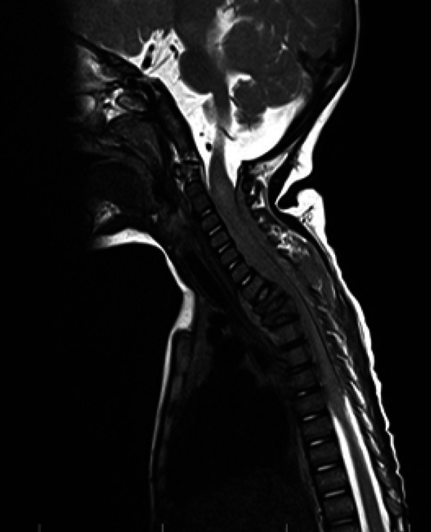 Abstract Image