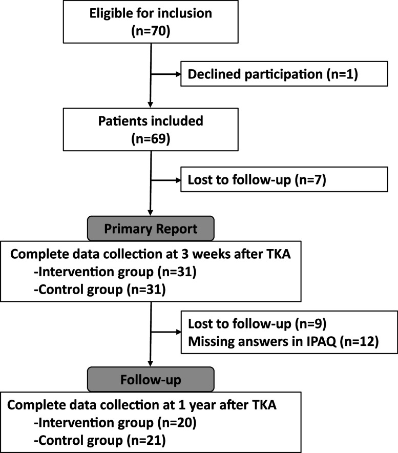 Effects of Isometric Quadriceps Muscle Exercise with Visual and Auditory Feedback at 1 Year after Total Knee Arthroplasty.